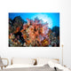 Soft Corals and Other Wall Decal Design 5