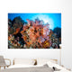 Soft Corals and Other Wall Decal Design 5