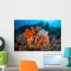 Soft Corals and Other Wall Decal Design 4