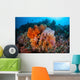 Soft Corals and Other Wall Decal Design 4