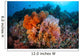 Soft Corals and Other Wall Decal Design 4
