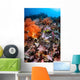 Scorpionfish Is Hidden among Wall Decal Design 2