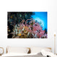 Soft Corals and Other Wall Decal Design 3
