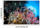 Soft Corals and Other Wall Decal Design 3
