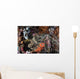 Large Crocodilefish Lies Colorful Wall Decal
