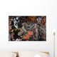 Large Crocodilefish Lies Colorful Wall Decal