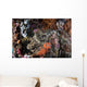 Large Crocodilefish Lies Colorful Wall Decal