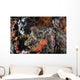 Large Crocodilefish Lies Colorful Wall Decal
