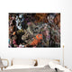 Large Crocodilefish Lies Colorful Wall Decal