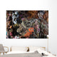 Large Crocodilefish Lies Colorful Wall Decal