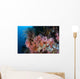 Soft Corals and Other Wall Decal Design 2