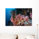 Soft Corals and Other Wall Decal Design 2