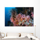 Soft Corals and Other Wall Decal Design 2