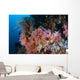 Soft Corals and Other Wall Decal Design 2
