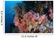 Soft Corals and Other Wall Decal Design 2