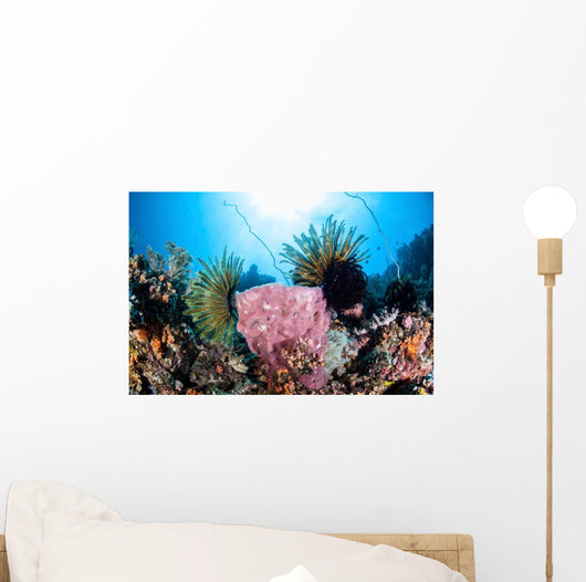 Crinoids Cling to Large Wall Decal Design 2