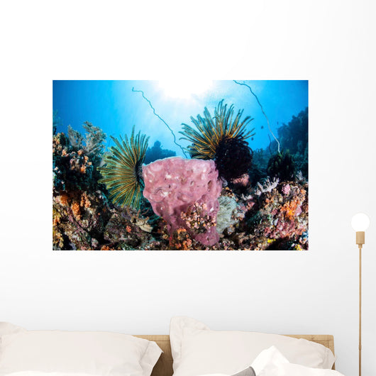Crinoids Cling to Large Wall Decal Design 2