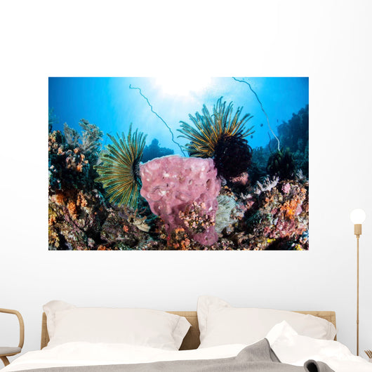 Crinoids Cling to Large Wall Decal Design 2