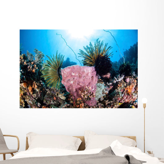 Crinoids Cling to Large Wall Decal Design 2