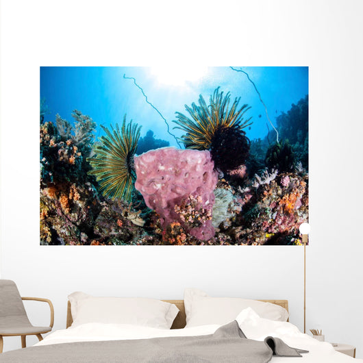 Crinoids Cling to Large Wall Decal Design 2