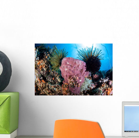 Crinoids Cling to Large Wall Decal Design 1