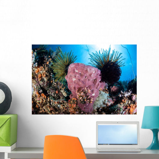 Crinoids Cling to Large Wall Decal Design 1