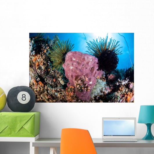 Crinoids Cling to Large Wall Decal Design 1
