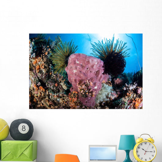 Crinoids Cling to Large Wall Decal Design 1