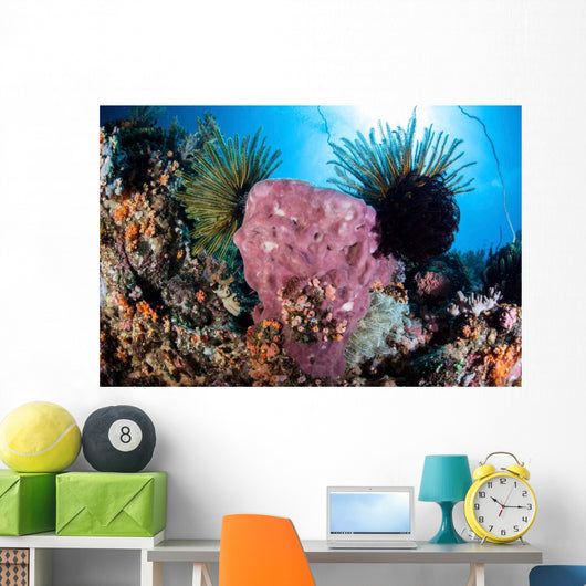 Crinoids Cling to Large Wall Decal Design 1