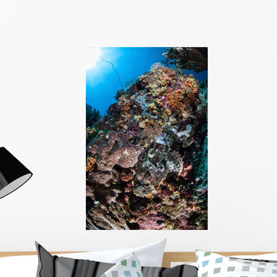 Scorpionfish Is Hidden among Wall Decal Design 1 shown on a wall