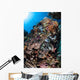 Scorpionfish Is Hidden among Wall Decal Design 1
