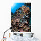 Scorpionfish Is Hidden among Wall Decal Design 1