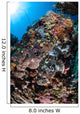 Scorpionfish Is Hidden among Wall Decal Design 1