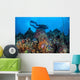 Scuba Diver Swims above Wall Decal