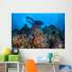 Scuba Diver Swims above Wall Decal