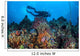 Scuba Diver Swims above Wall Decal