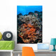 Soft Corals and Other Wall Decal Design 1