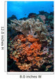 Soft Corals and Other Wall Decal Design 1