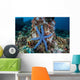 Unusual Sea Star Clings Wall Decal Design 2