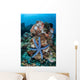 Unusual Sea Star Clings Wall Decal Design 1