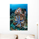 Unusual Sea Star Clings Wall Decal Design 1