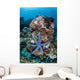 Unusual Sea Star Clings Wall Decal Design 1