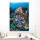 Unusual Sea Star Clings Wall Decal Design 1