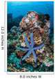 Unusual Sea Star Clings Wall Decal Design 1