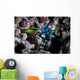 Peacock Mantis Shrimp Lembeh Wall Decal