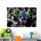 Peacock Mantis Shrimp Lembeh Wall Decal