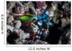 Peacock Mantis Shrimp Lembeh Wall Decal