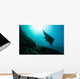 Manta Ray Swims through Wall Decal Design 1