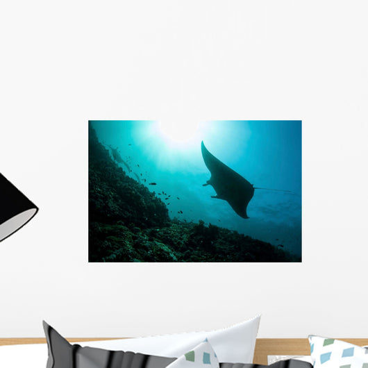 Manta Ray Swims through Wall Decal Design 1