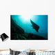 Manta Ray Swims through Wall Decal Design 1